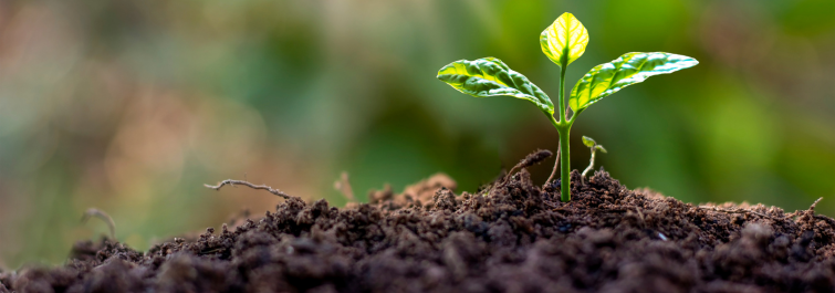 Ouvrier du génie écologique, pour un avenir plus vert